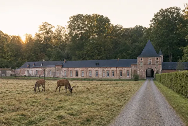 Ala ottocentesca di un castello tra prati e boschi, con cervi al pascolo davanti (immagine creata con AI)